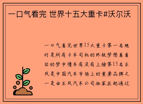 一口气看完 世界十五大重卡#沃尔沃